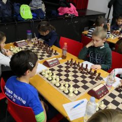 48413033_1208840112620188_8224794262248620032_n