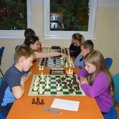DSC_1335 (Kopiraj)
