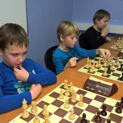 WP_20160115_18_22_30_Pro__highres (Kopiraj)