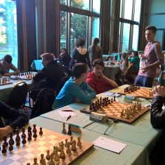 WP_20160221_15_56_43_Pro