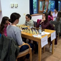 wp_20161106_08_59_52_pro-kopiraj