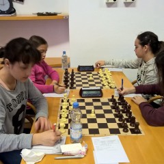 wp_20161106_09_00_01_pro-kopiraj