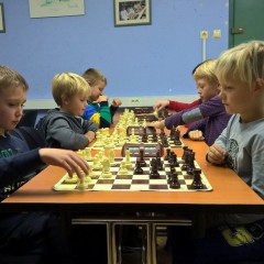 wp_20161111_19_01_57_pro-kopiraj