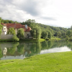 DSC07568 (Kopiraj)