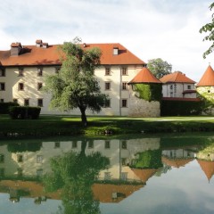 DSC07602 (Kopiraj)