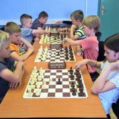WP_20170526_17_06_09_Pro (Kopiraj)