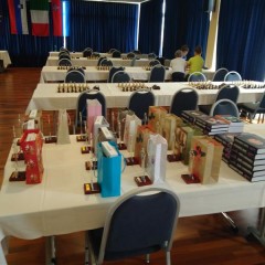 T0248095_IMG_20170721_122942