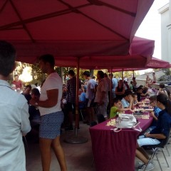 20170827_162827 (Kopiraj)