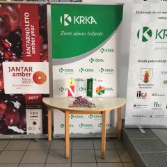 22685046_10208743448144176_869650598_n