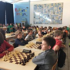 22686784_10208743448224178_2057946907_n