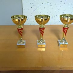 WP_20171204_15_35_36_Pro (Kopiraj)