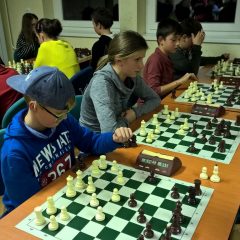 WP_20171204_17_32_32_Pro (Kopiraj)