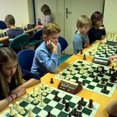 WP_20171204_18_47_37_Pro (Kopiraj)