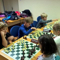 WP_20171204_18_47_42_Pro (Kopiraj)