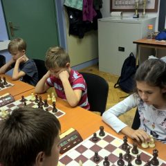 WP_20181109_17_06_12_Pro