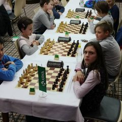 48411534_380223349449457_933371224635998208_n