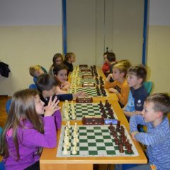 DSC_1347 (Kopiraj)