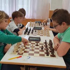 20190601_130441 (Kopiraj)