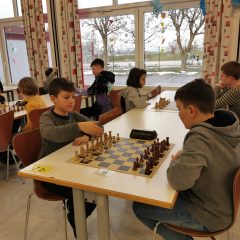 325038487_1132875464017778_9188919207903800672_n