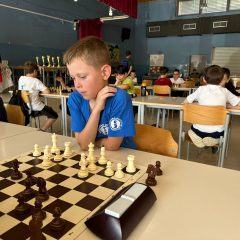 WhatsAppova datoteka Slika, 2024-06-13 ob 07.56.18_5d31bd5d